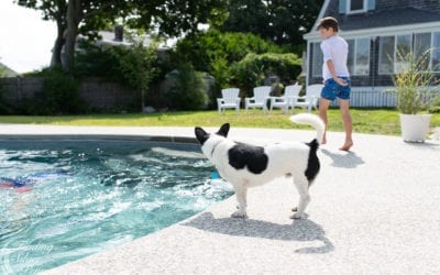 The Driscoll’s – Scituate MA Pool